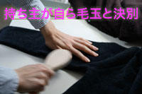 毛玉を取って、春うらら