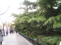 写真5