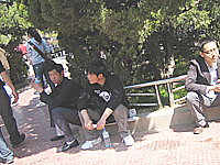 写真14