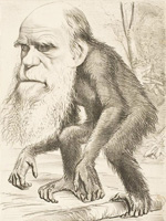 ダーウィンを描いた風刺画