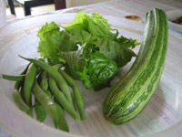 野菜8