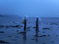 雨の海と友人