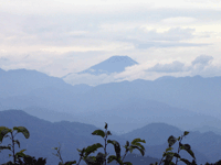 富士山1