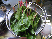 葉野菜