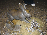 県立美術館うさぎ