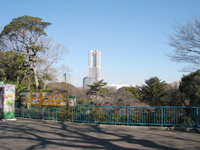 動物園からの景色