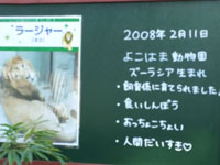 のんびり、一人でまわる動物園 メイン画像