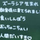 のんびり、一人でまわる動物園