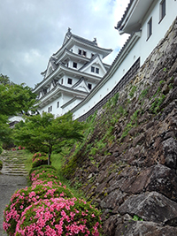 郡上八幡城