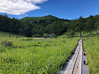 入笠山でリフレッシュサムネイル画像