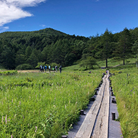 入笠山でリフレッシュ