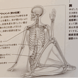 暑くて熱くて心地よい場所へ