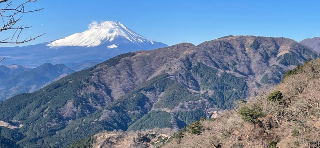 大山に登山サムネイル画像