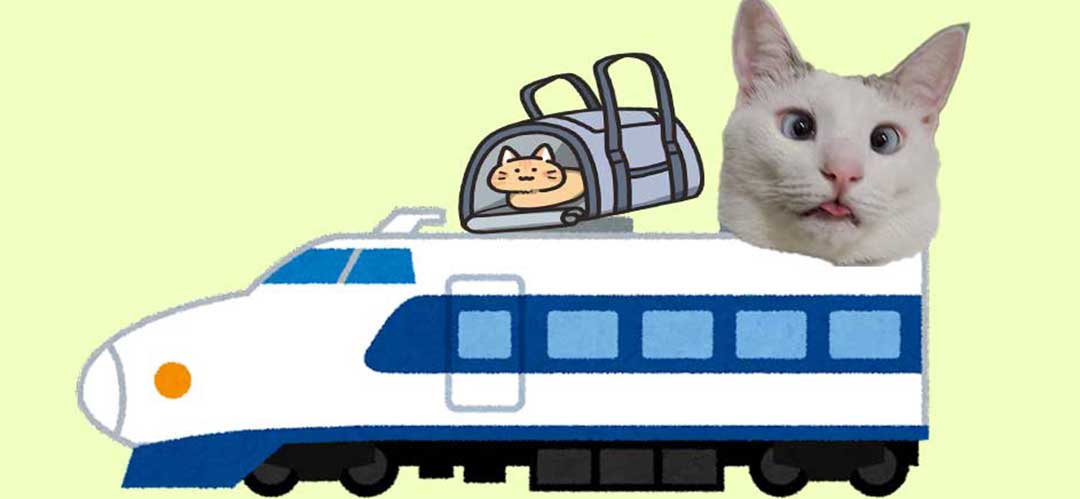 猫、はじめて新幹線に乗るサムネイル画像