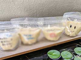 おから味噌