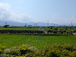 “捨苗栽培地跡”
