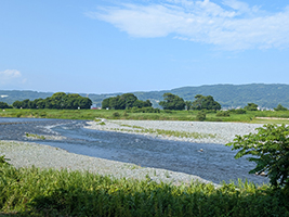 “酒匂川”