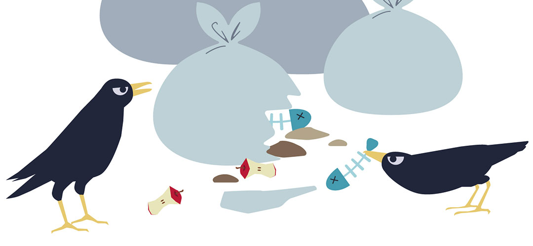 カラスとの攻防サムネイル画像