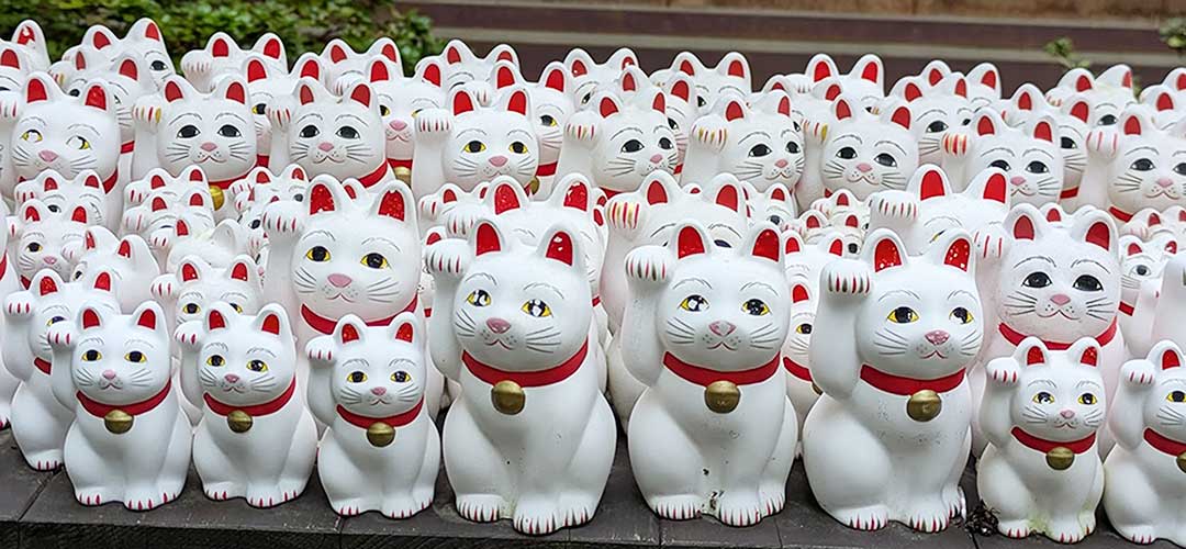 豪徳寺の招福猫児(まねきねこ)とご縁を結びサムネイル画像