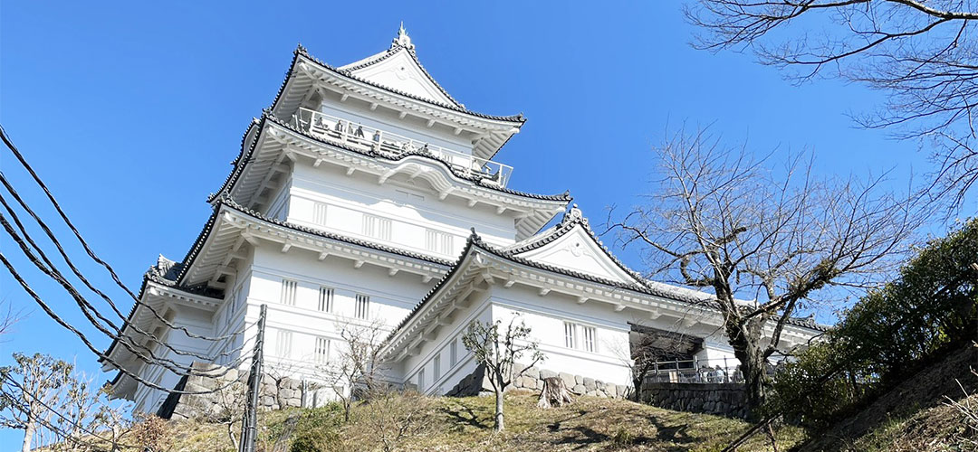 一円融合サムネイル画像