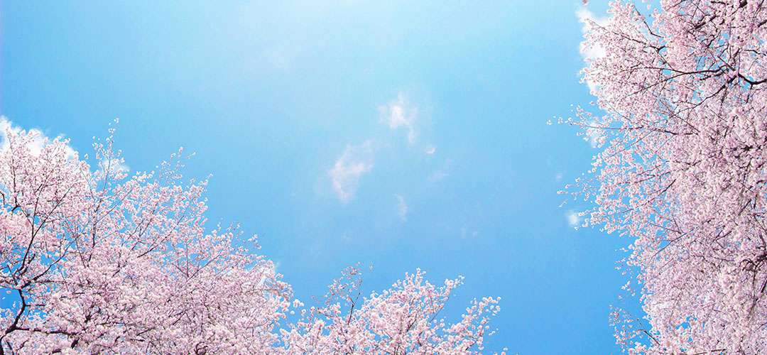 小学校の卒業式サムネイル画像