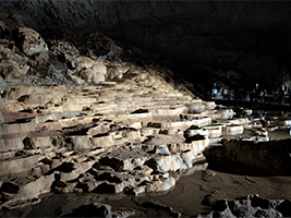 “百枚皿”