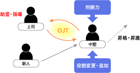 中堅層以上のOJT